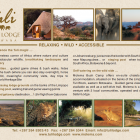 Tuli Safari Lodge
