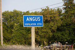 _MG_9335.jpg