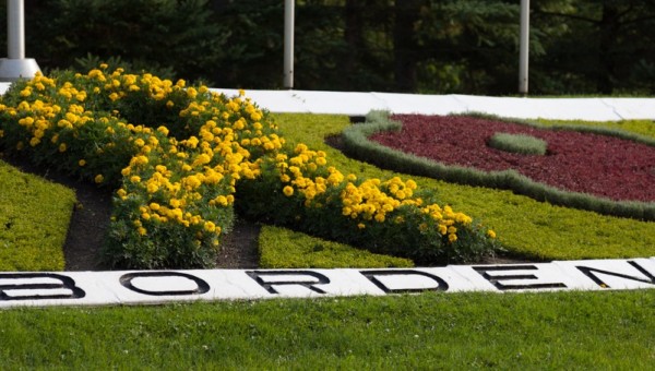 BORDEN_web