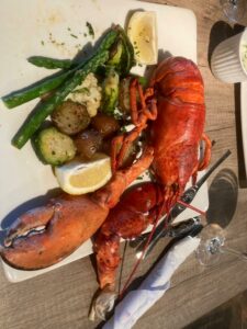 Lobstometer